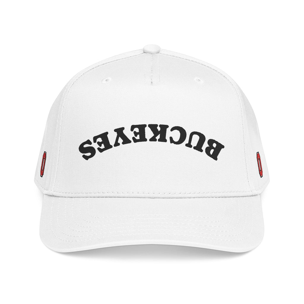 Ohio Football Inspired | Buckeyes | Baseball Cap | Gift for Him | College Sports | Columbus | Dad Hat | Tailgate Party | Gameday Outfit