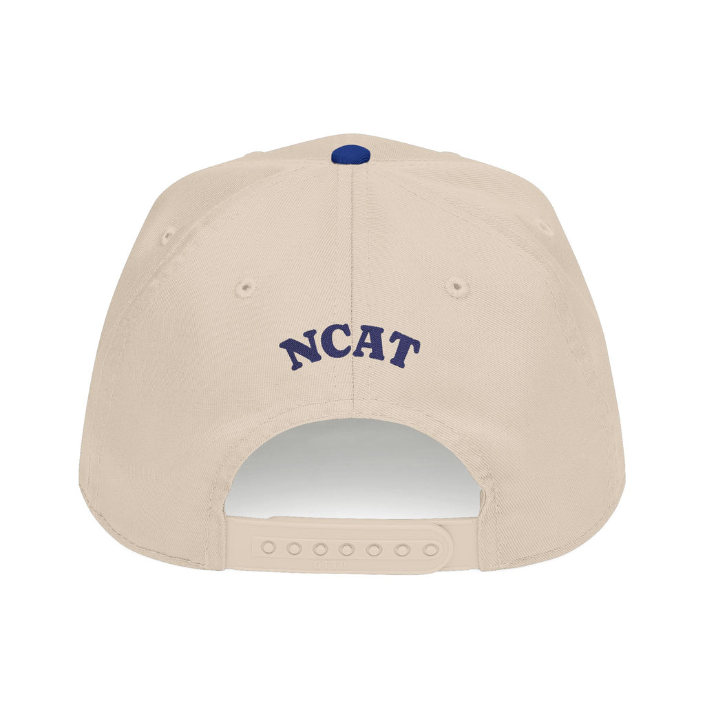 NCAT Aggies | Homecoming | HBCU | Sorority Gift | Graduation | Alumni | Tailgate Party | Gift for Him | Sports Fan | Aggie Pride | GHOE